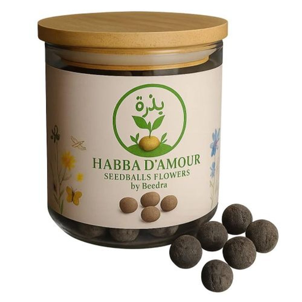 Beedra: Seed Bombs – Haba d'Amour Flower (Love-in-a-Mist) Ready-to-Plant Seed Balls | Charming & Delicate Blue Flowers | Effortless Gardening